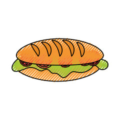 sandwich  vector illustration