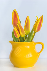 bouquet of yellow tulips in yellow jug on white background