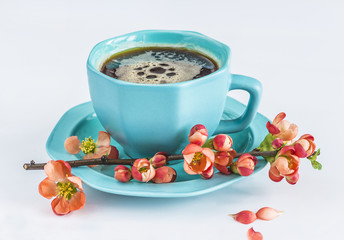 blue cup of espresso and chaenomeles japonica flowers on white background