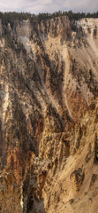 Grans Canyon of the Yellowstone Vertical Slice