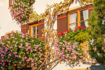 Fototapeta na wymiar Traditional Bavarian House decorated with Flowers