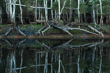 Toorloo Arm Walk at Lakes Entrance
