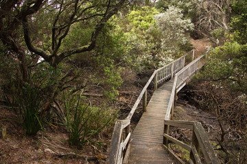 Boardwalk on Cape Conran