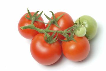 Tomaten