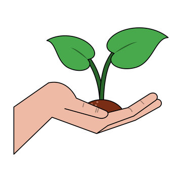 Hand with plant icon vector illustration graphic design