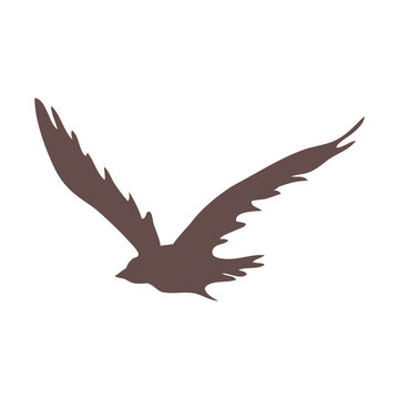 bird silhouette icon