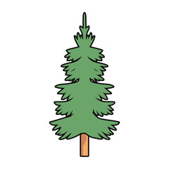pine trees design
