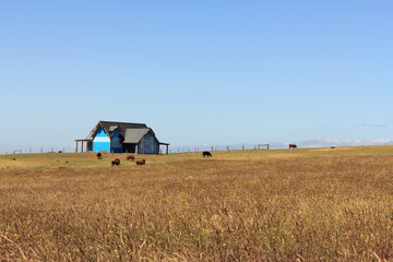 Australian countryside