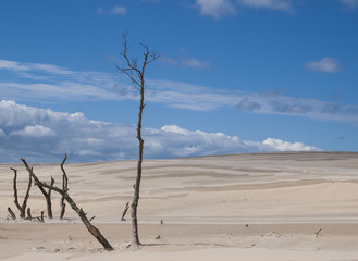 Under the desert sky 2