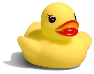 Rubber Duck