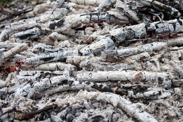 Coal and wood ash close up