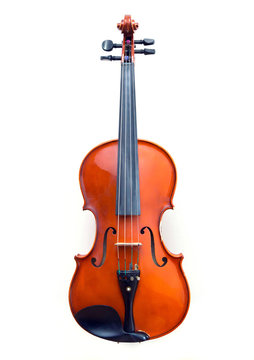 Violin on white background. 
Front view of a red violin isolated on white background