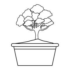 bonsain on a pot icon