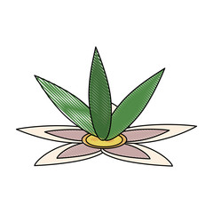 Beautiful flower isolated icon vector illustration graphic design