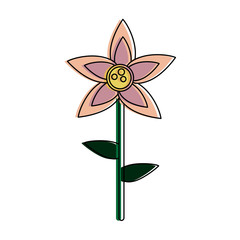 Beautiful flower isolated icon vector illustration graphic design