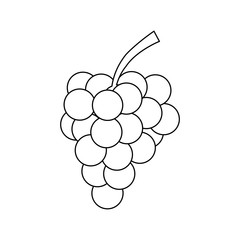 Grapes fruit isolated icon vector illustration graphic design