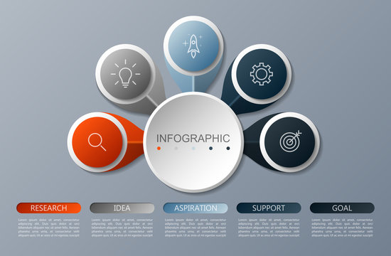  Infographics circle design  with 5 options