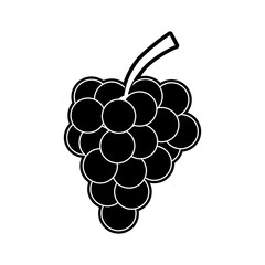 Grapes fruit isolated icon vector illustration graphic design