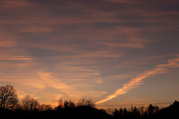 The morning sunset with trees and dawn