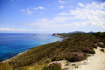 Wunderschöne Bucht von Mallorca 3