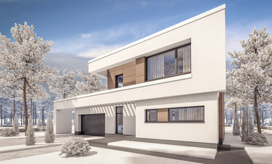 3d rendering of modern winter house