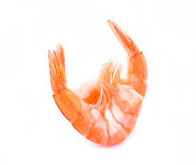 Two shrimps isolated on white background.