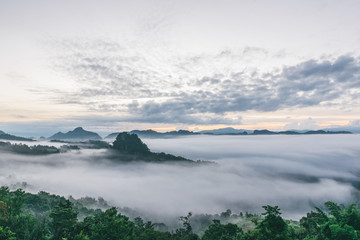 The fog of the 