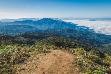 Kiew Mae Pan Nature Study at Doi Inthanon