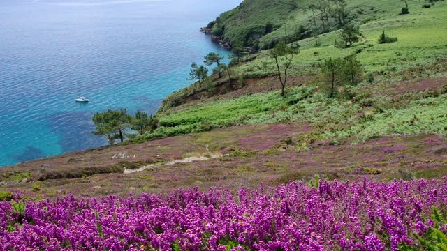 K&uuml;ste am Cap de la Chevre in der Bretagne
