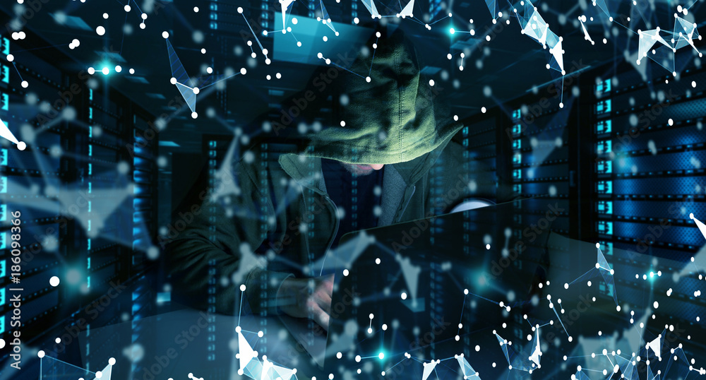 Aufkleber Hacker accessing to personal data information with a computer 3D rendering