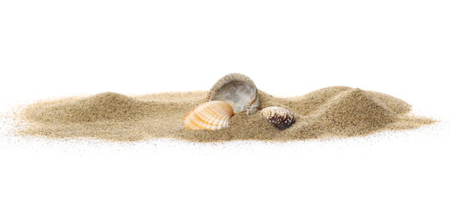 Sea shells in sand pile isolated on white background