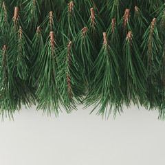 Creative layout made of Christmas tree branches. Holiday background. Flat lay.