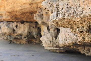 Australian beach and coast