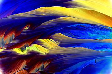 Microscope image of crystallized painkiller paracetamol