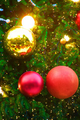 Fototapeta na wymiar Colorful balls on Christmas tree.