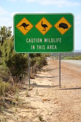 Attention for Kangaroo, Emu and Echidna aculata, Traffic Sign in Australia 