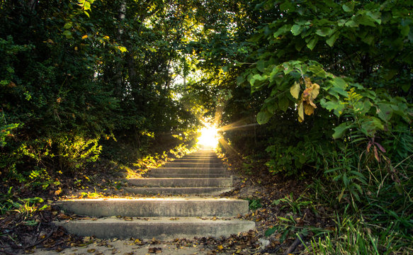 Light Of Heaven. Sunlight streams down a stairway that travels up through a scenic forest.