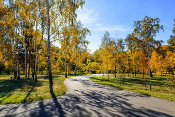 Sunny autumn day in the park