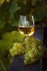 White wine with grapes.