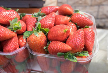 Fresh organic strawberries for sale at local street market