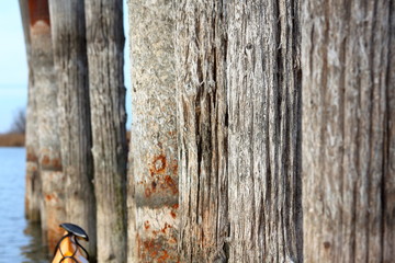 Logs (poles) of remains of the old wooden pier in the water. Shot from point of view of the paddler. Bow of yellow kayak