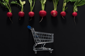 Raw radishes and shopping cart on a black background.