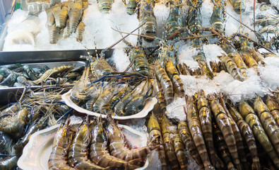 View of Fresh raw shrimp frozen on the ice