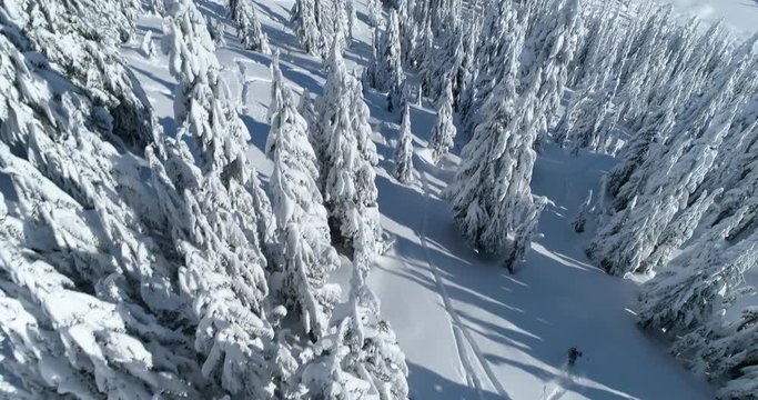 Skiing Through Trees Powder Snow Adventure - Aerial Drone Top Down Above View