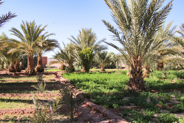 Obraz premium Natur Aufnahmen, Wüstenbilder, Dessert, Architektur und Gebäude in Africa