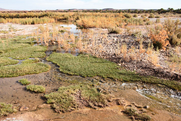 Natur Aufnahmen, Wüstenbilder, Dessert, Architektur und Gebäude in Africa