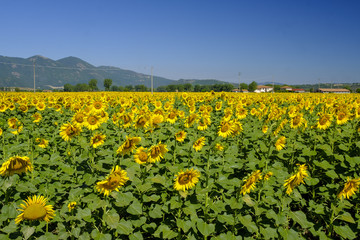 Country landscape between Rieti (Lazio) and Terni (Umbria)