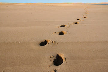 Natur Aufnahmen, Wüstenbilder, Dessert, Architektur und Gebäude in Africa
