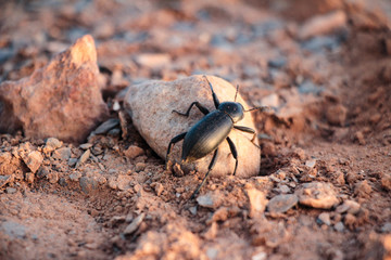 Natur Aufnahmen, Wüstenbilder, Dessert, Architektur und Gebäude in Africa