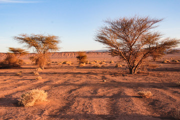 Fototapeta na wymiar Natur Aufnahmen, Wüstenbilder, Dessert, Architektur und Gebäude in Africa